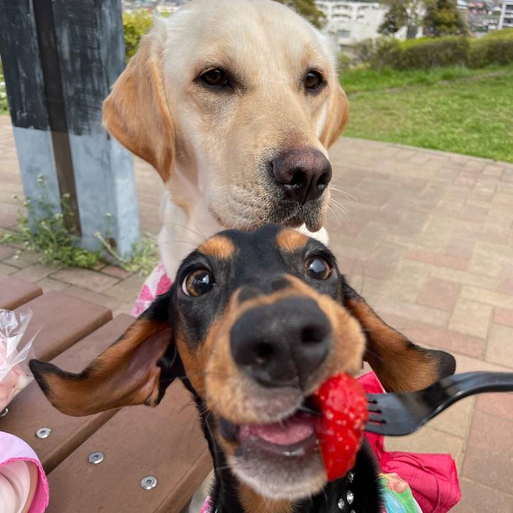 98a49c11 b2fe 49f0 9a56 e5ceb003b8cb 1648556913883