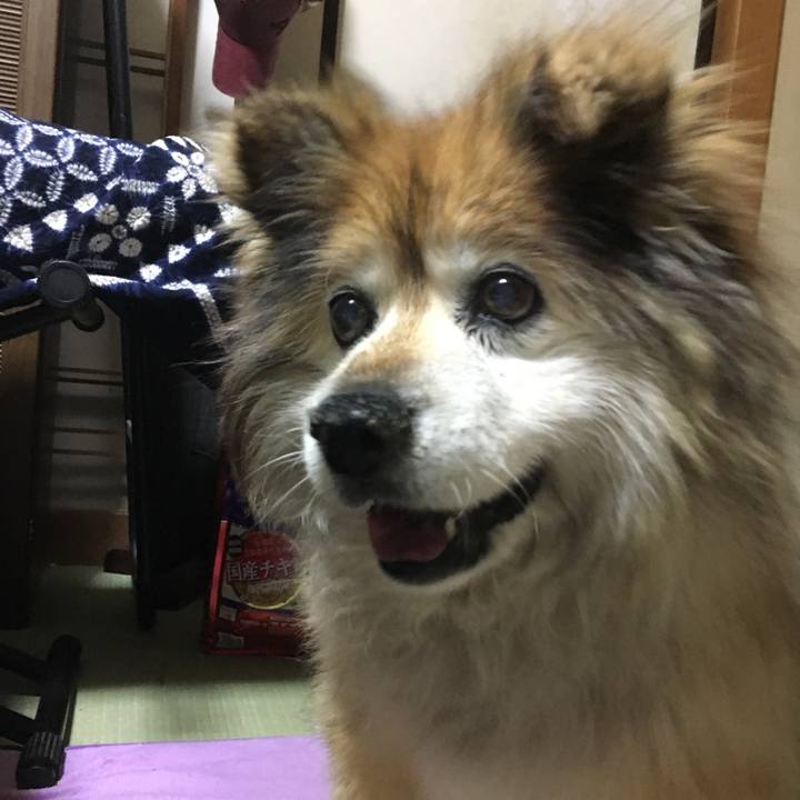 98a4b8f9 9ab8 4118 b464 732849ed34ef 1557571766160