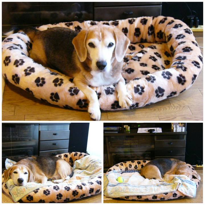 98a4bf19 fdae 4c5f b9ac f491658ea308 1654823496747