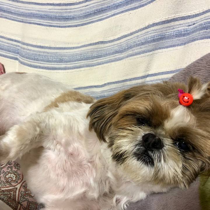 98a4c0d5 7181 4463 9fd0 bae639c73f29 1562239056255