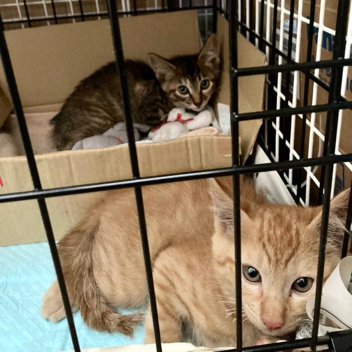 98a4e864 e712 4285 83e2 aecacaca1bd6 1638002283012