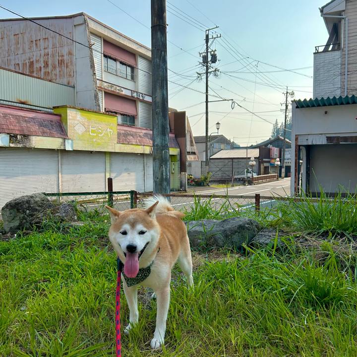 98a51c0f d6c1 4b2e b2e8 450a95f17d1b 1722769328165