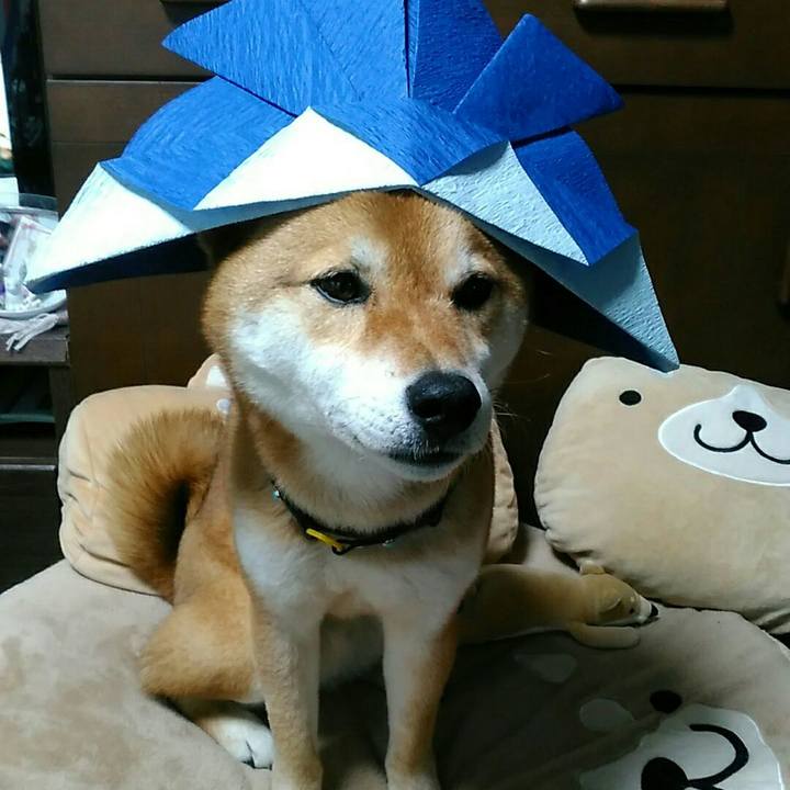 98a568fa b652 4bae 9d20 aa1f66a0ace5 1556006060299