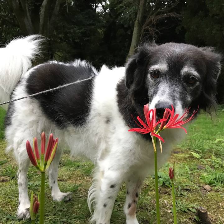 98a60a52 8dce 4e2a 98ac f8d30fa8b063 1536759516930