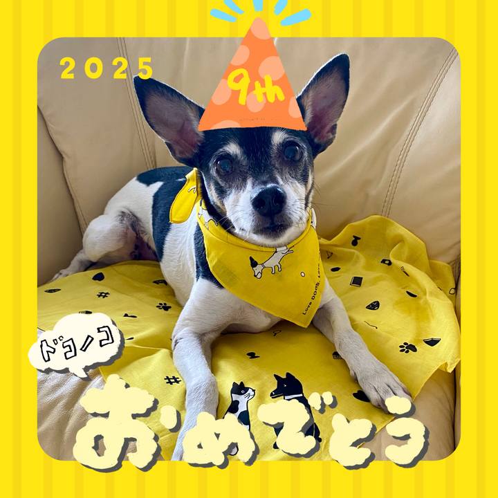 98a61142 5f6e 46f8 b1ea a68cb3abc75e 1749157710177