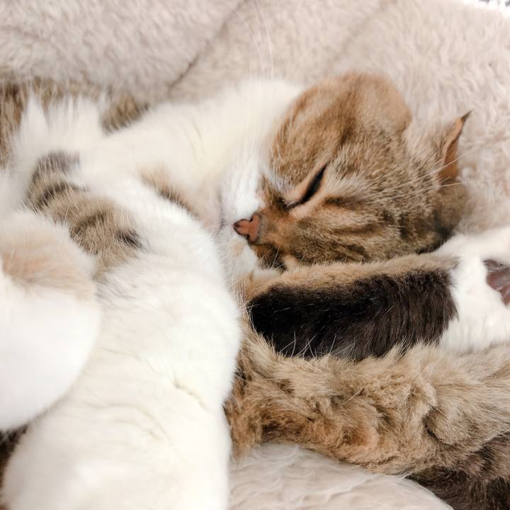 98a667c8 bd89 4df1 bd6c 9cc78eaaf420 1576302980894