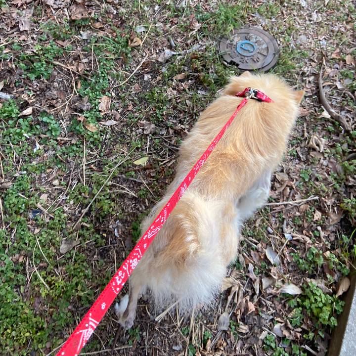 98a6981c 1294 4520 ac50 57c7002cfe15 1646906258519