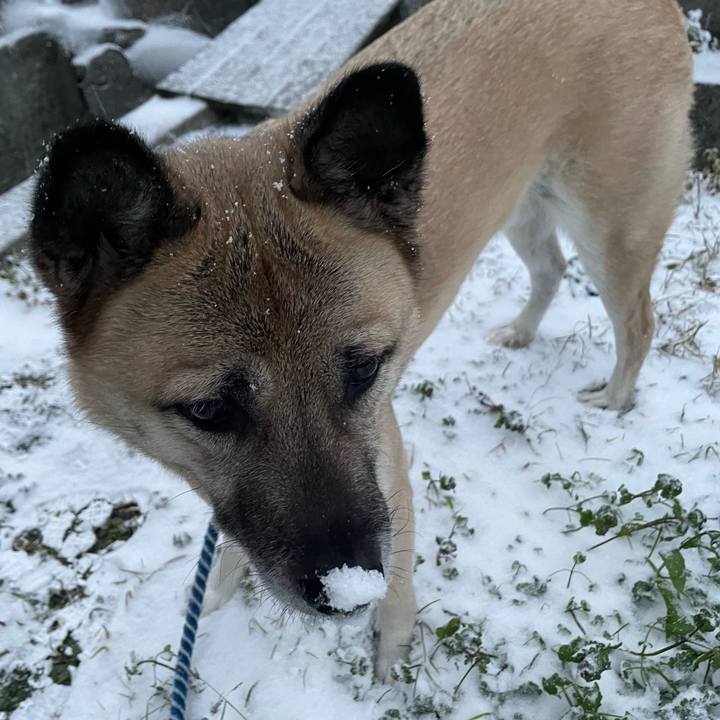 98a69f88 b4a3 4fdb 86b4 754792c10855 1671794202294