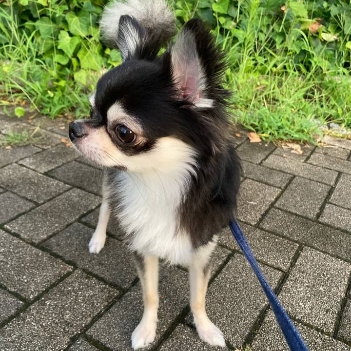 98a6a839 2561 466d 84e6 1d4f6ae83c25 1628431369828