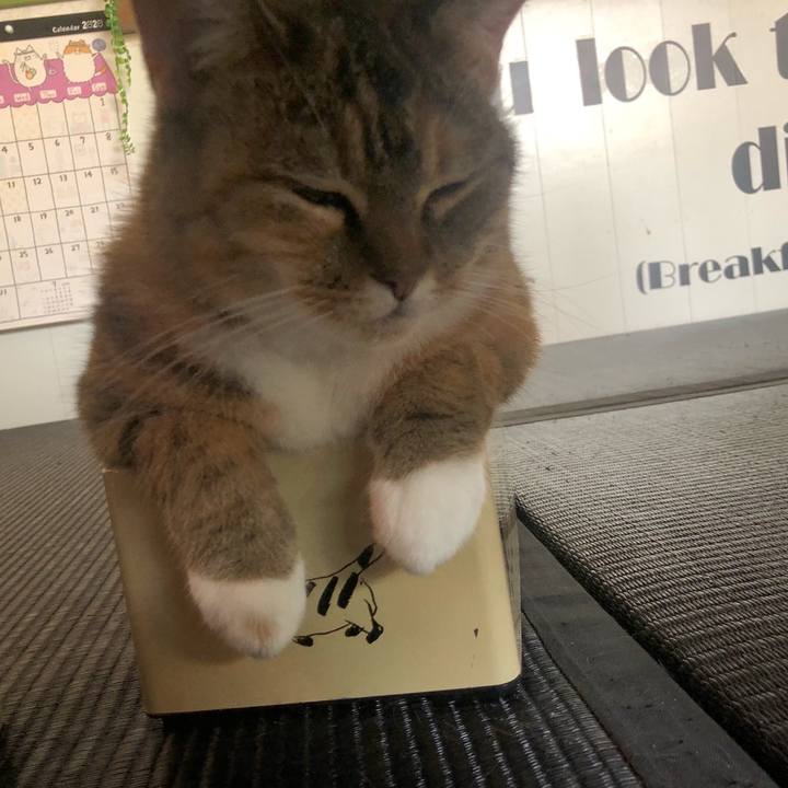 98a6c26c 9f78 4f4c a981 68946dfcba45 1596893042393