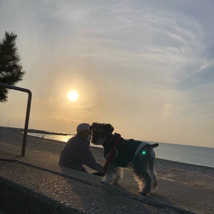 98a70e19 43f6 4eba 973d cf52c2db50db 1668924280858