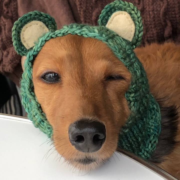 98a735dd 5299 4f8b a36a 6493a2ef7fe4 1544921208751