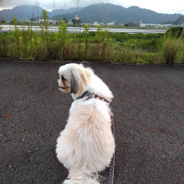 98a75558 532c 4dba 8c9b c760fb3b6d2e 1561454641061