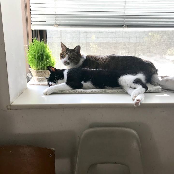 98a7a992 343a 45f3 b2e1 c6b756b1a82c 1574126747276