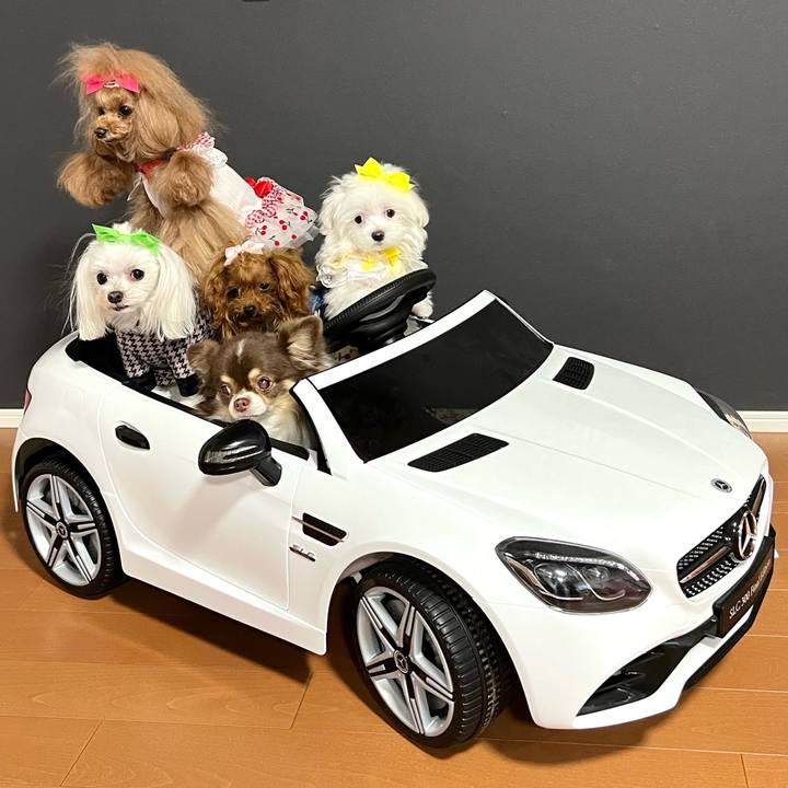 98a7fa01 c9d8 4bb4 9a67 19de2951a913 1709684131164