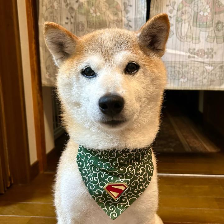 98a8368c 16fc 46a7 aee6 957592c27713 1752235869888