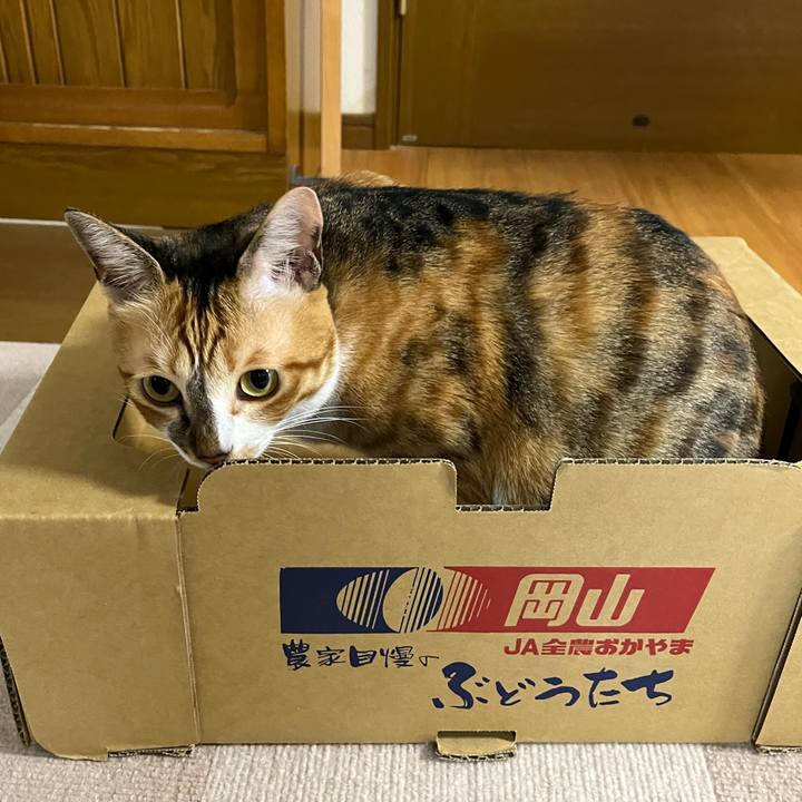 98a84f05 9cf2 493c a65a eb608d72ab05 1694434854651