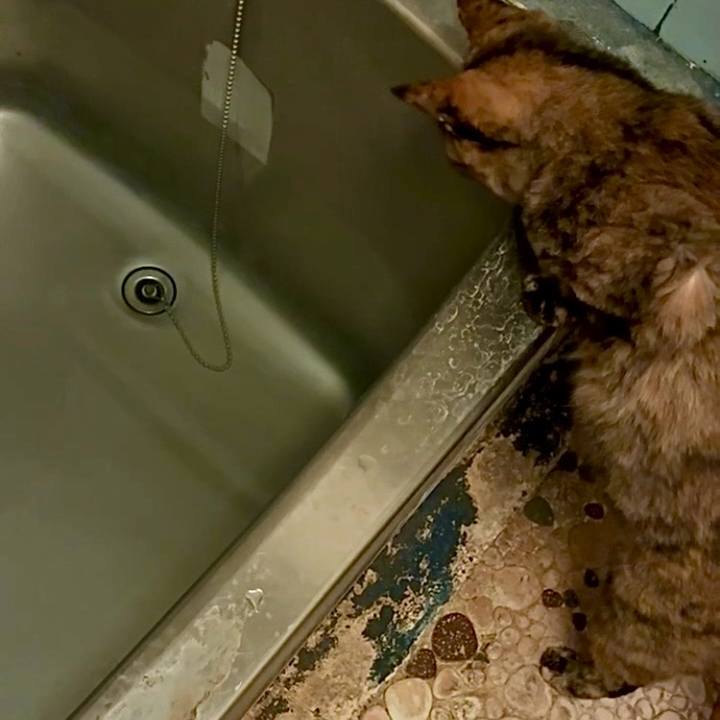 98a89f43 e725 48b8 976b 5a55cdc79d39 1759610911095