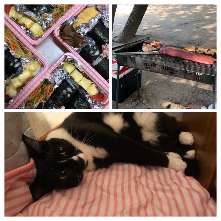 98a8ba4e fd40 4c51 8f52 b80bb602708a 1534371440186