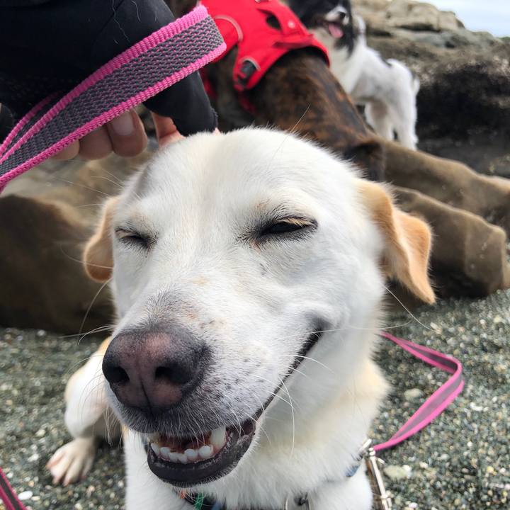 98a987ed 389e 4992 9073 cbf7835cab2d 1629165994344