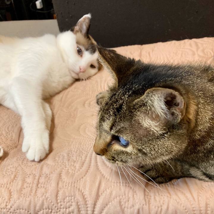 98a9c3df cbed 431b a543 334f89010988 1651055965831