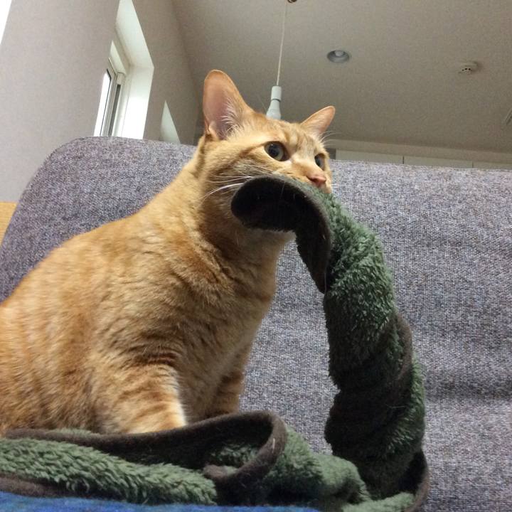 98a9f4f2 35ef 40fd b833 dcc086516d19 1582791274822