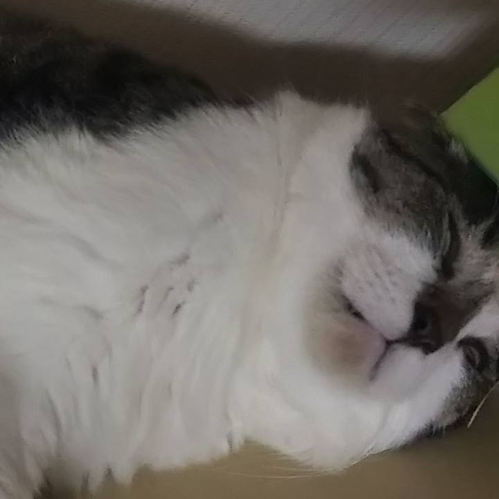 98a9fecc ac6c 41f1 a2c0 ec04f0c93f0d 1628330459184