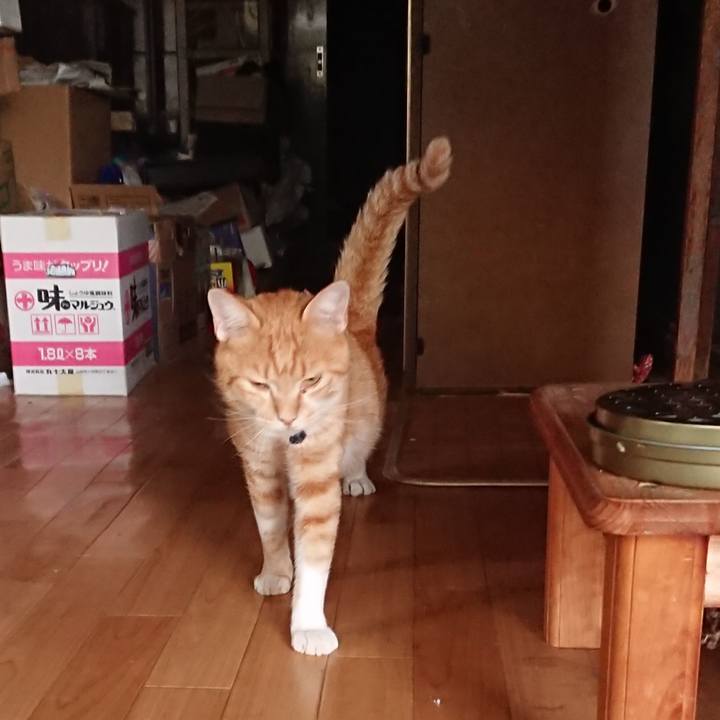 98aa2641 4886 443f a9c0 9b021a15adcf 1566809483534