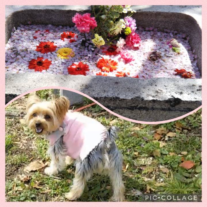 98aa3585 d141 4a71 946e 3b55dfed271c 1649398315195