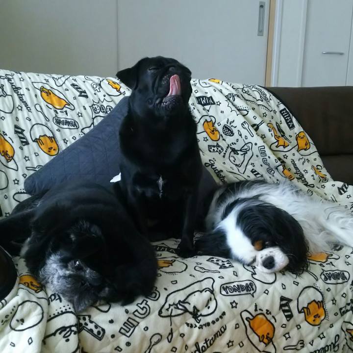 98aa3da1 97cd 4ee5 b029 eb3a9a800539 1527575207923