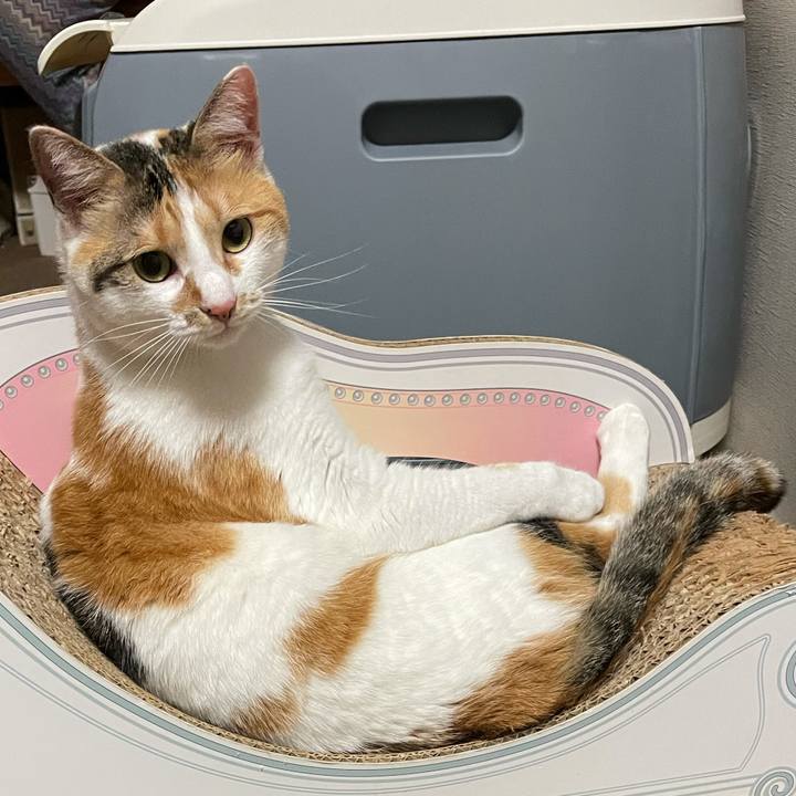 98aa4896 f75a 4100 aac1 1a60564a4118 1622292910617