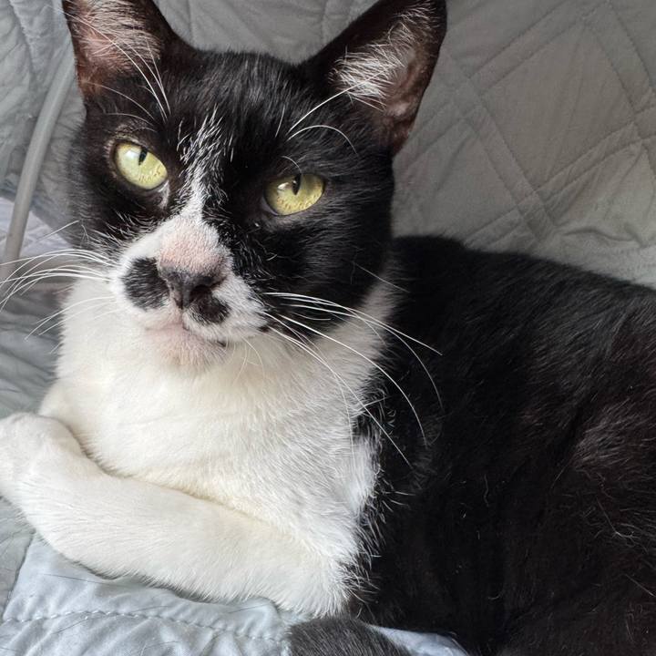 98aa4a84 5deb 48c1 ae20 cb6fa6aee312 1757286013206