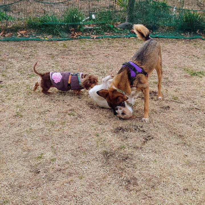 98aa4e32 6871 4726 8b1d 8d3469675fc6 1708134594839