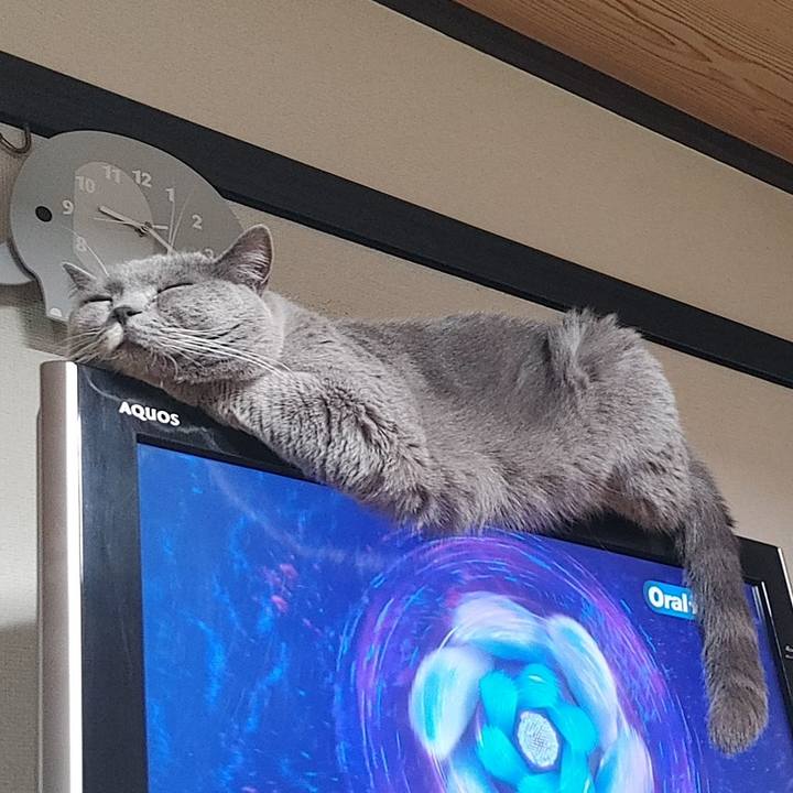 98aa7e39 8504 4896 9839 eddd1ccc1b34 1644323129409