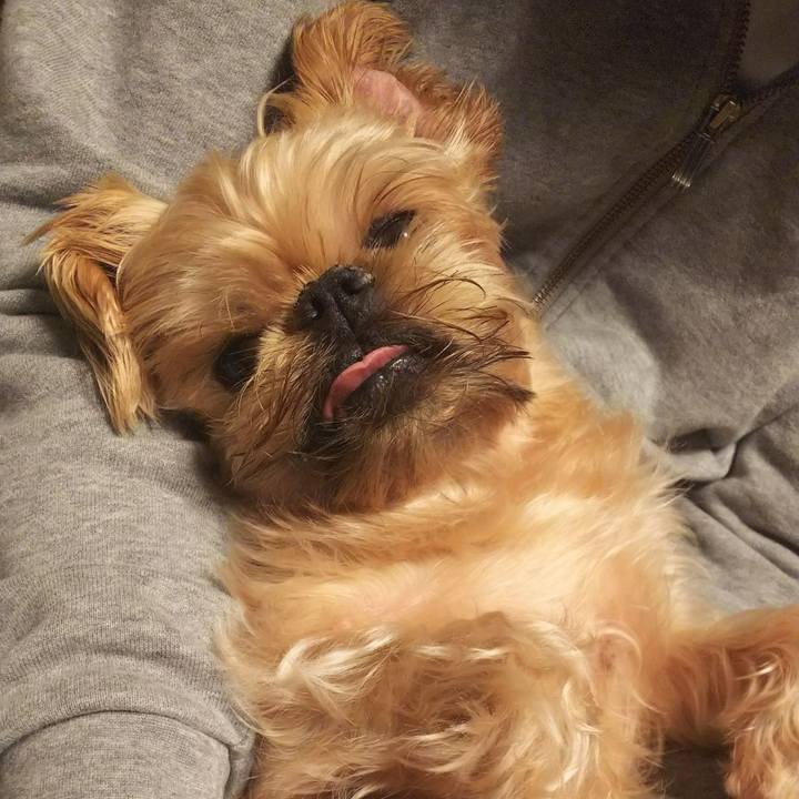 98aa7e3f 2e19 4f07 96aa 6ef10c203cd9 1540299445122