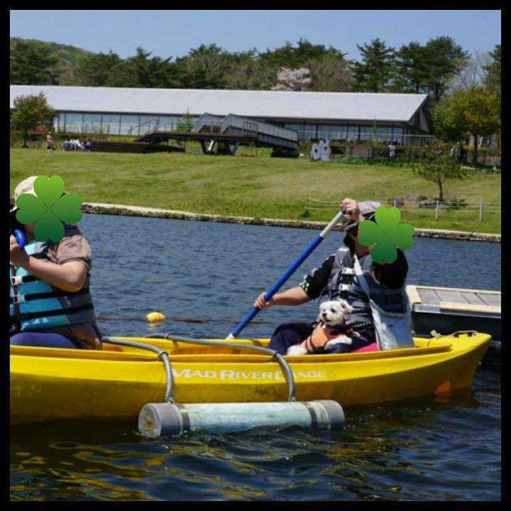 98aa89a7 d096 48ba 9505 8c605aeb68e8 1557792888121