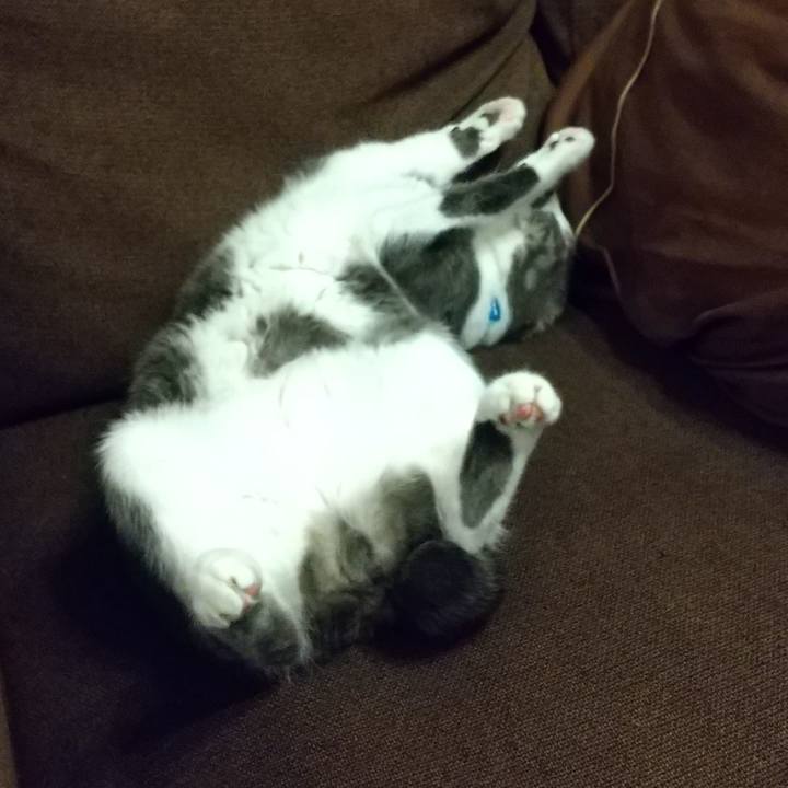 98ab054d 0c79 4408 b58f a335640182f8 1609680144250