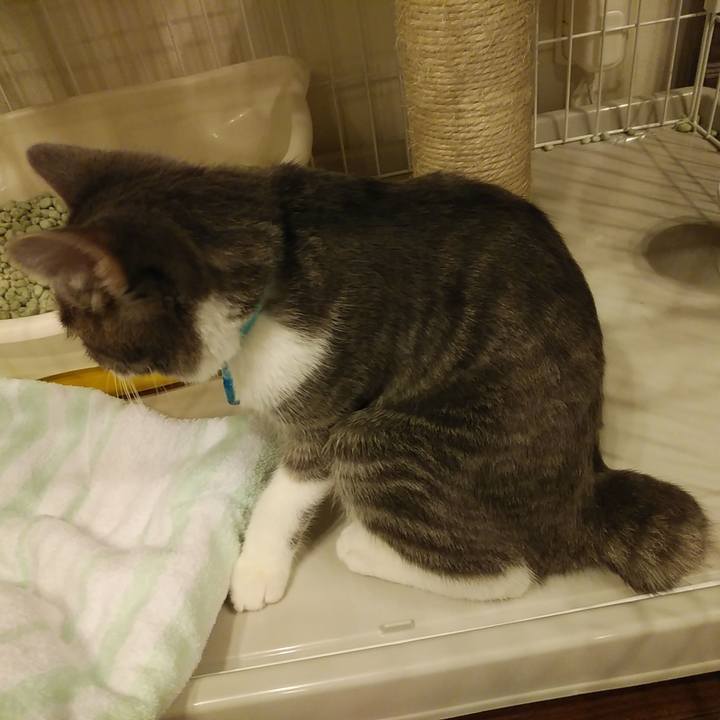 98ab2263 cb9c 4bc4 87f5 8c06dfcb151a 1569852206970