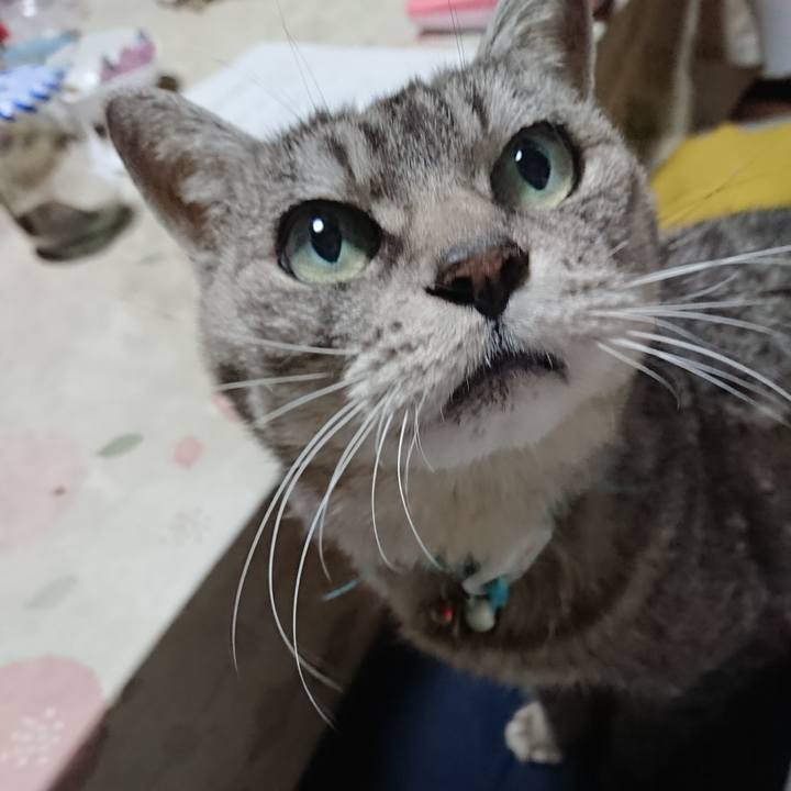 98ab549b 81cf 4308 82f1 2edf52fc9360 1572514114780