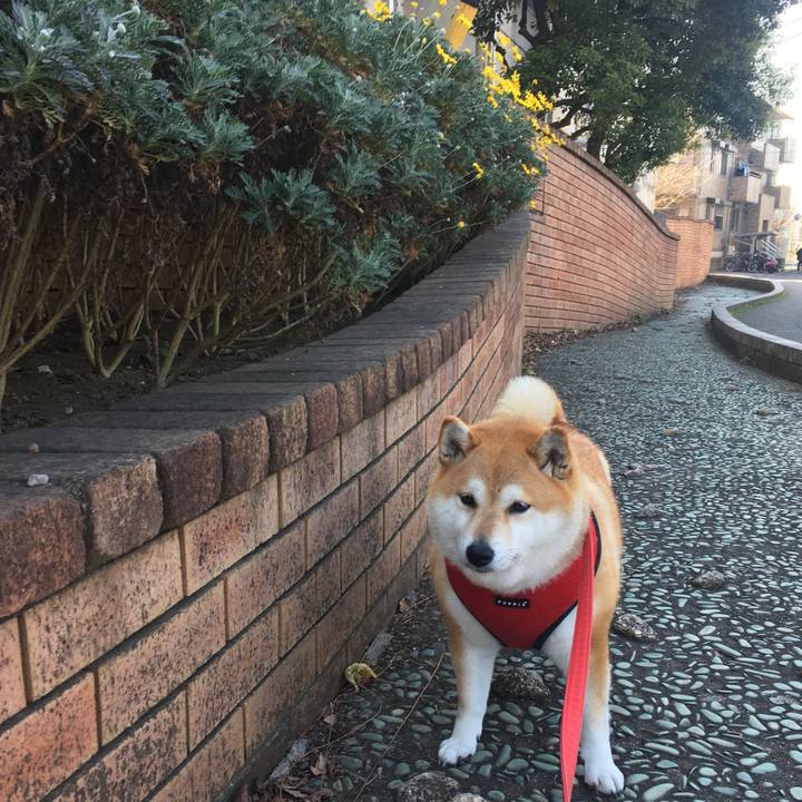 98ab7e17 d9df 4bc3 bccf ec37c41a2c20 1609040474363