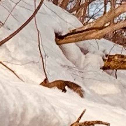 98ab80e4 55f2 40fc 9aa9 9b88c49885df 1678576640535