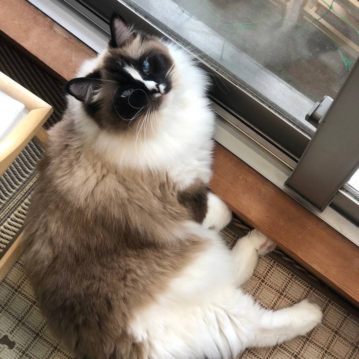 98abc081 c93f 49a4 b3a4 51ca02a2af84 1558226383552