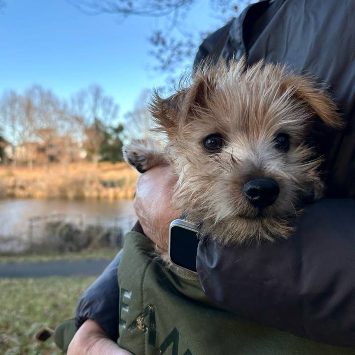 98ac2e7a 7ca2 493d bf00 af3a248d64ba 1702806856365