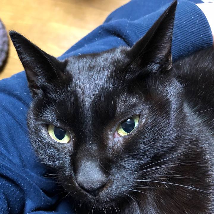 98ac400a 739c 4a8e 8b4f d74046257ae9 1732195992591