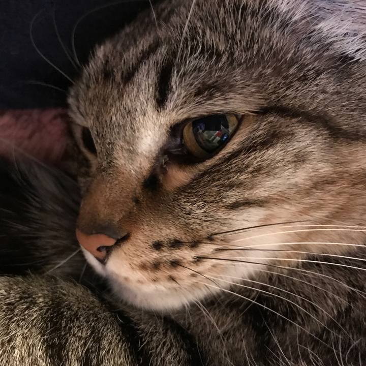 98ac4fd7 ad39 4609 90c4 2b386b73db79 1524899025448