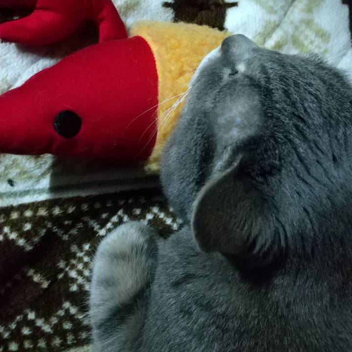 98ac5a32 9325 47cb abd5 e4d4e5cc2b98 1677840135458