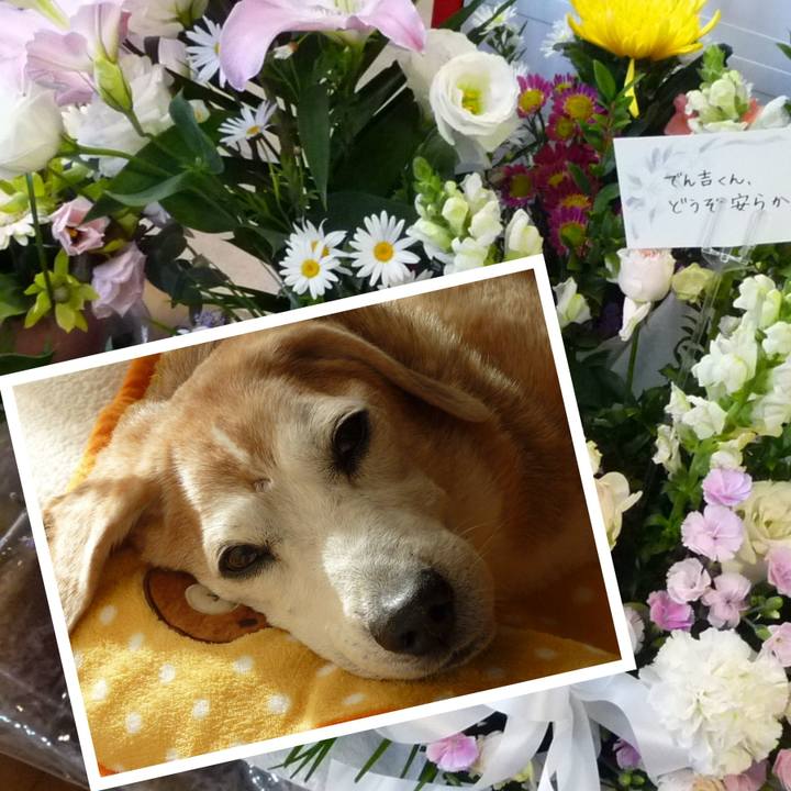 98ac8b06 7196 434e 8c5f 5db7ff09fae6 1707960382079