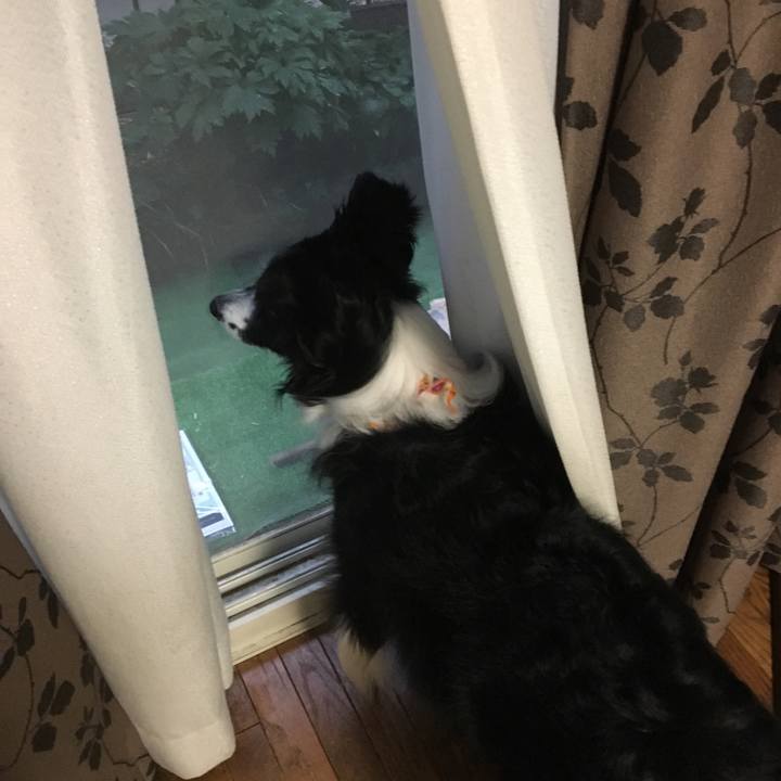 98ad35c4 055c 49ed b26f 9115e76b8d87 1528240151640