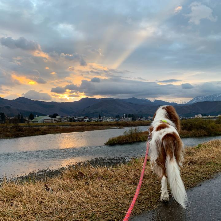 98ad4959 415d 4dd9 9526 e9890da93a73 1607294063139