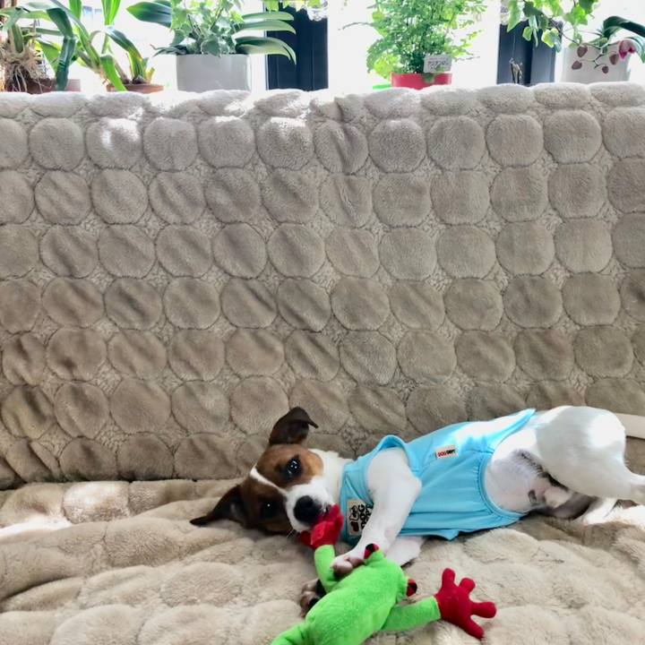 98ad7e9d 6e24 49f0 88d3 87b308935dbe 1527117685871